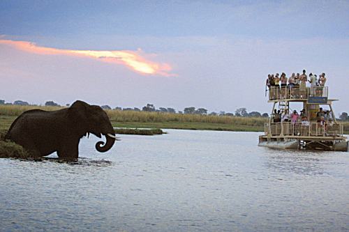 Chobe SL (4)